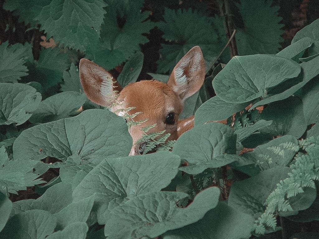 tumblr_pp6rh19okq1qgdxico1_1280.jpg