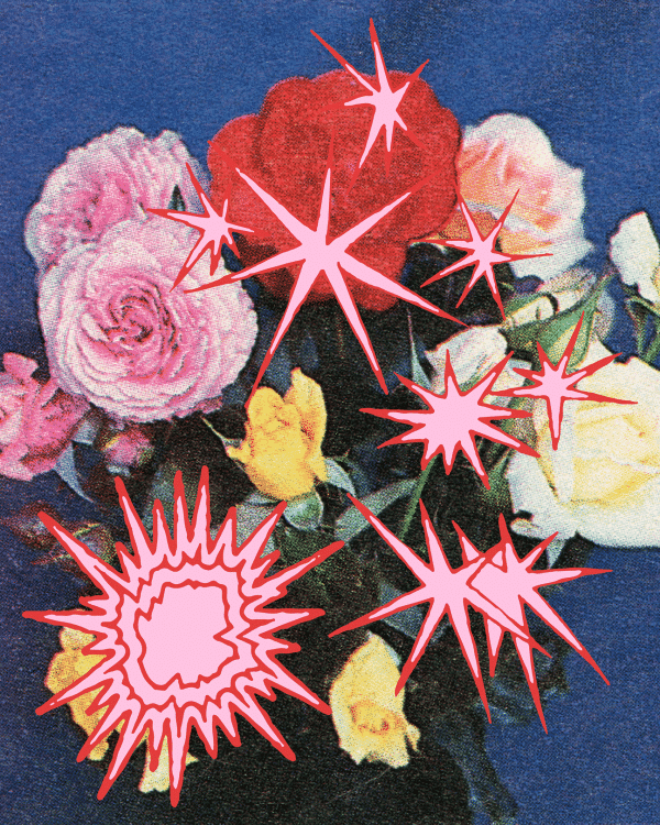 rose-1-e1641283840141.png