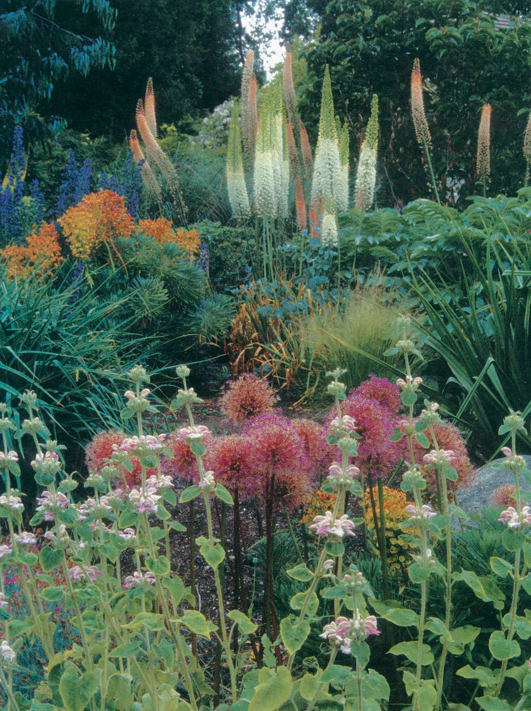 Photographs by Terry Moyemont