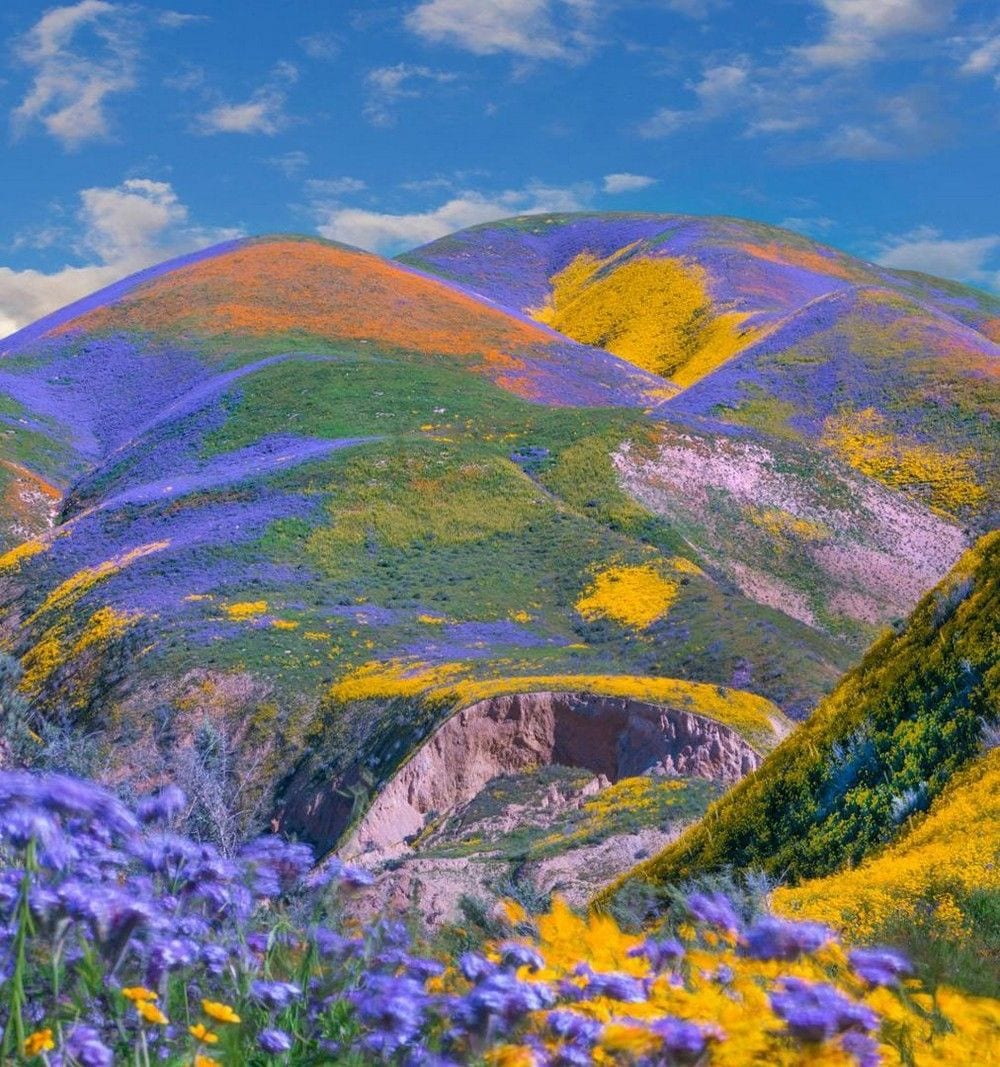 Épinglé sur Nature