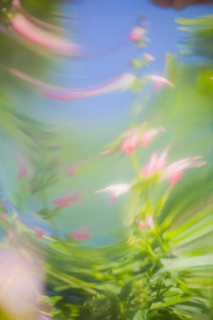 e64e2f175d7e93ef3a222d20f786c7bb.jpg